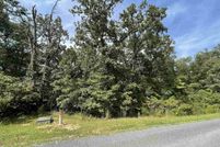 Undeveloped Land for sale in Calloway County, Kentucky
