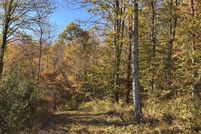 Property for sale in Barbour County, West Virginia