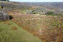 Undeveloped Land for sale in Allegany County, New York