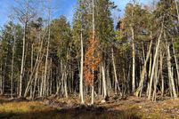 Property for sale in Washington County, Maine