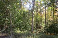 Property for sale in Lunenburg County, Virginia