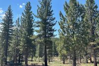 Property for sale in Alpine County, California