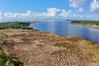 Undeveloped Land for sale in Pamlico County, North Carolina