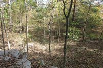 Undeveloped Land for sale in Jackson County, Alabama