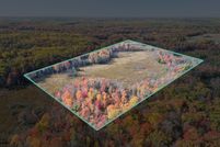 Undeveloped Land for sale in Newaygo County, Michigan