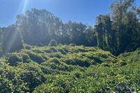 Property for sale in York County, South Carolina