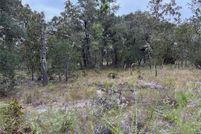 Undeveloped Land for sale in Levy County, Florida