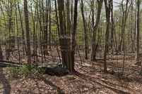 Undeveloped Land for sale in Wayne County, Pennsylvania