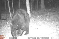 Property for sale in Madison County, Arkansas