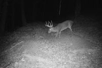 Property for sale in Madison County, Arkansas