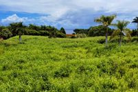 Undeveloped Land for sale in Hawaii County, Hawaii