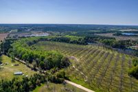 Undeveloped Land for sale in Candler County, Georgia