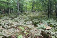 Property for sale in Burnett County, Wisconsin