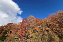 Property for sale in Charlevoix County, Michigan