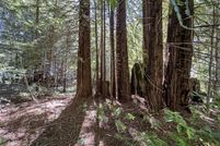 Undeveloped Land for sale in Sonoma County, California