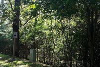 Undeveloped Land for sale in Pickens County, Georgia