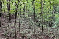 Property for sale in Gilmer County, Georgia