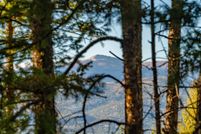 Undeveloped Land for sale in Colfax County, New Mexico