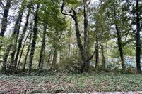 Undeveloped Land for sale in Gwinnett County, Georgia