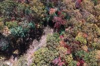 Undeveloped Land for sale in Carter County, Tennessee