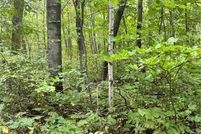 Property for sale in Morrison County, Minnesota