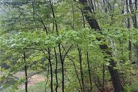 Property for sale in Morrison County, Minnesota