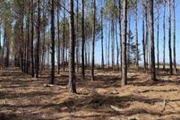 Undeveloped Land for sale in Cass County, Texas