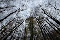 Property for sale in Wayne County, Pennsylvania