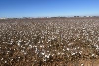 Property for sale in Lubbock County, Texas