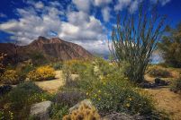 Property for sale in San Diego County, California