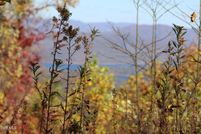 Property for sale in Carter County, Tennessee