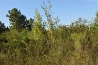 Undeveloped Land for sale in Marion County, Texas