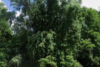 Undeveloped Land for sale in Shelby County, Tennessee