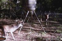 Property for sale in Palo Pinto County, Texas