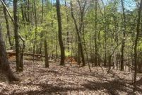 Property for sale in Gilmer County, Georgia
