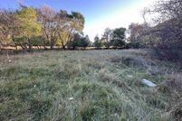 Undeveloped Land for sale in Gratiot County, Michigan