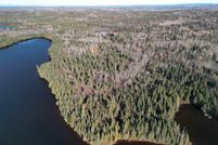 Undeveloped Land for sale in Cook County, Minnesota