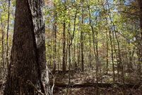 Undeveloped Land for sale in Sequatchie County, Tennessee