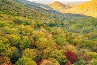 Property for sale in Buncombe County, North Carolina