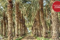 Property for sale in Riverside County, California