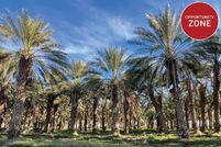 Property for sale in Riverside County, California