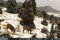 Property for sale in Silver Bow County, Montana