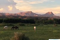 Farm Property for sale in Hidalgo County, New Mexico