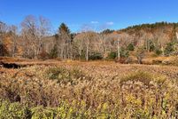 Undeveloped Land for sale in Columbia County, New York