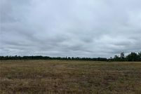 Undeveloped Land for sale in Levy County, Florida