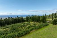 Farm Property for sale in Hawaii County, Hawaii