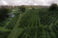 Farm Property for sale in Hawaii County, Hawaii