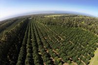 Property for sale in Hawaii County, Hawaii