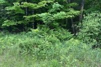 Undeveloped Land for sale in Penobscot County, Maine