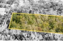 Undeveloped Land for sale in Volusia County, Florida